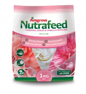 AMG14387-Nutrafeed--gardenia-azalea-&-camellia-1kg-mockup