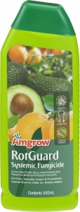rot root phytophthora amgrow 500ml