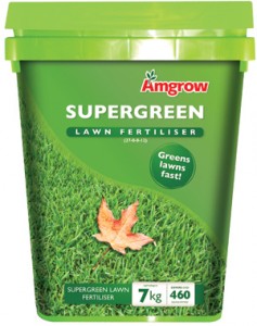 rgb Supergreen Mockup low res