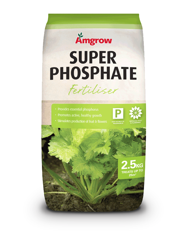 Super Phosphate Amgrow Home Garden