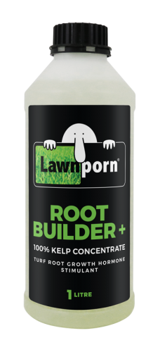 ROOT-BUILDER+_1L-low