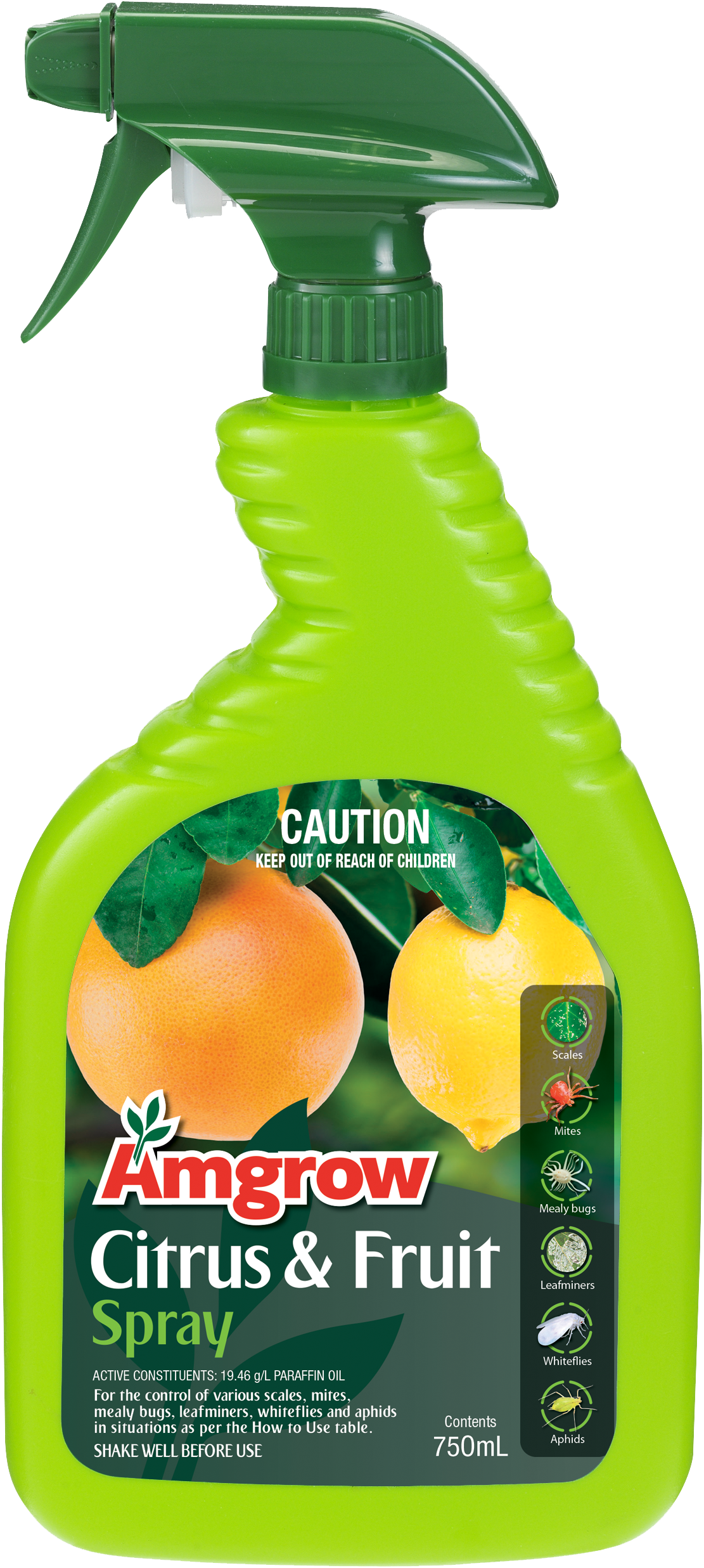 Citrus Fruit Spray RTU Amgrow Home Garden