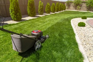 Lawn mower in the garden on green grass