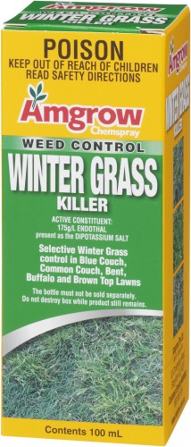 winter grass100ml angle