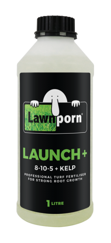 LAUNCH+_1L-low