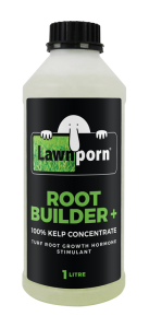 ROOT-BUILDER+_1L-low