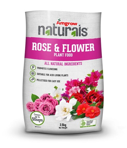 Amgrowrose