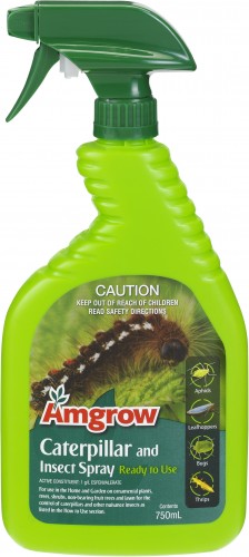 Caterpillar insect 750ml