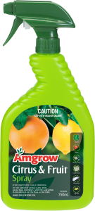 Citrus & Fruit 750mL