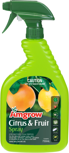 Citrus & Fruit 750mL